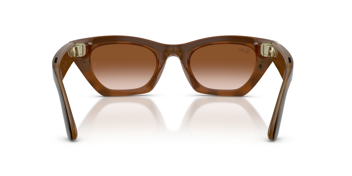 Ray-Ban Meta (Gen 3) Zena - Poli Havana / Dégradé Marron
