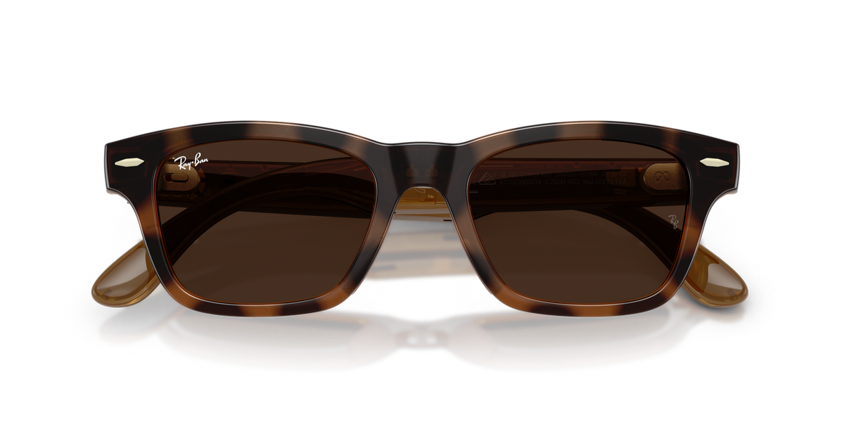 Ray-Ban Meta Audio Burbank - Brillant Havana / Incolore/Marron