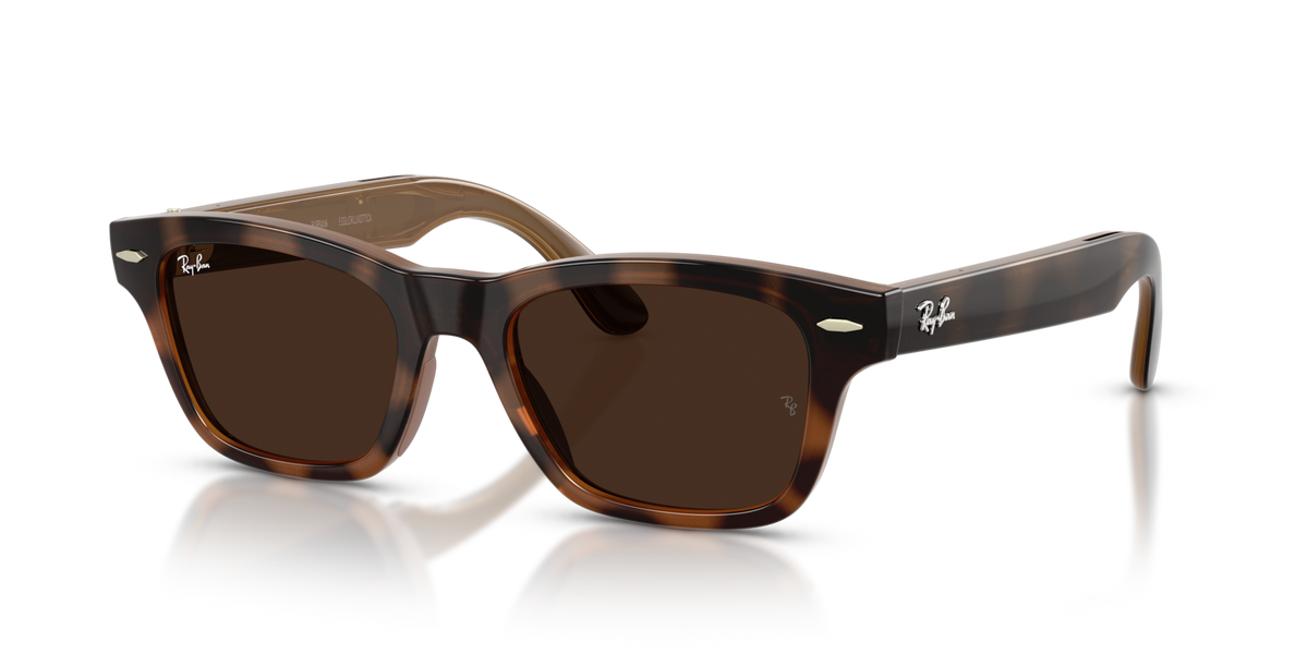 Ray-Ban Meta Audio Burbank - Brillant Havana / Incolore/Marron