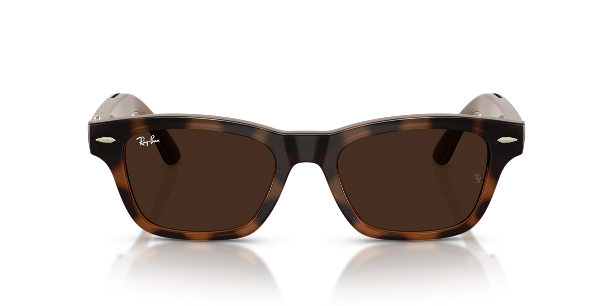 Ray-Ban Meta Audio Burbank - Brillant Havana / Incolore/Marron