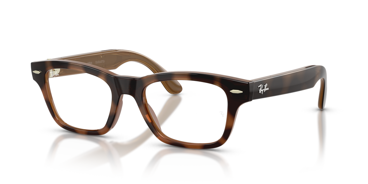 Ray-Ban Meta Audio Burbank - Brillant Havana / Incolore/Marron
