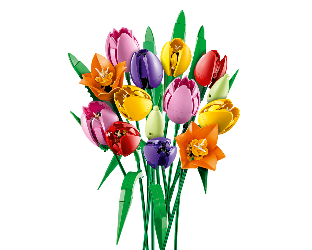 Le bouquet de tulipes