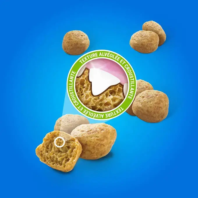 DENTALIFE® Chat au Poulet Savoureux - Friandises Bucco-Dentaires pour Chat