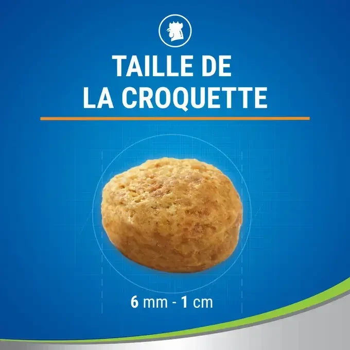 DENTALIFE® Chat au Poulet Savoureux - Friandises Bucco-Dentaires pour Chat