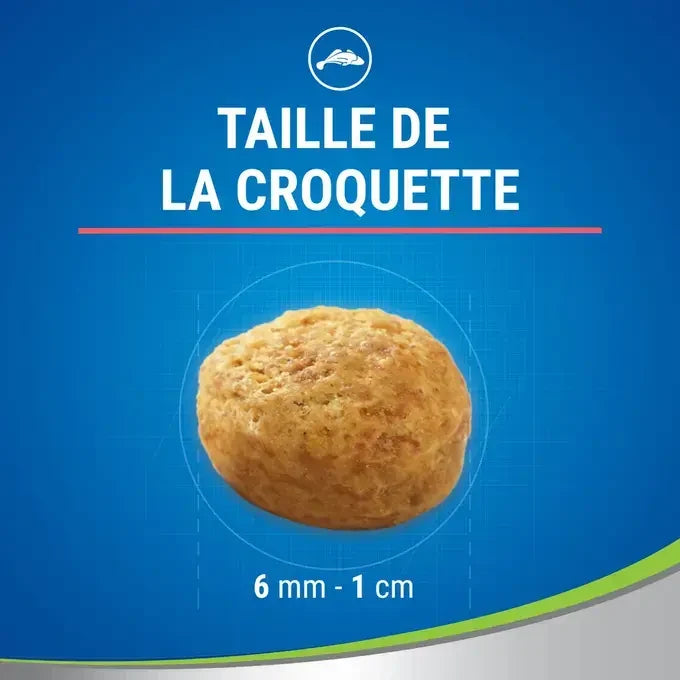 DENTALIFE® Chat au Saumon Savoureux - Friandises Bucco-Dentaires pour Chat