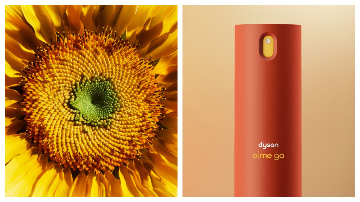 Spray revitalisant sans rinçage Dyson Omega™ 165 ml