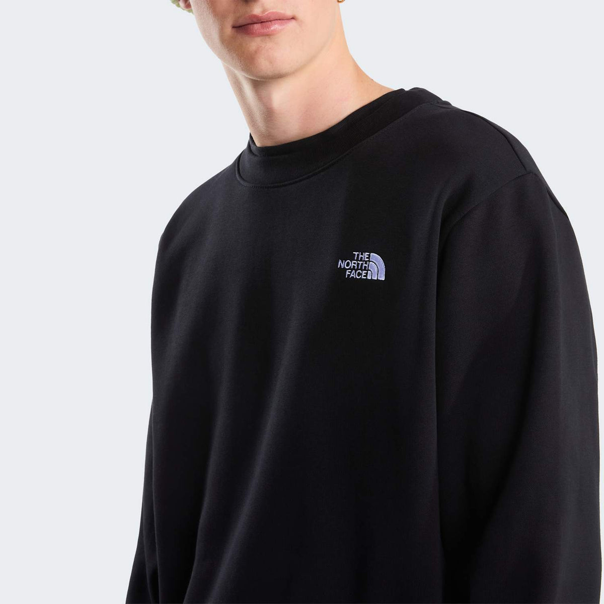 Sweat coupe regular Evolution Simple Dome pour homme - TNF Black