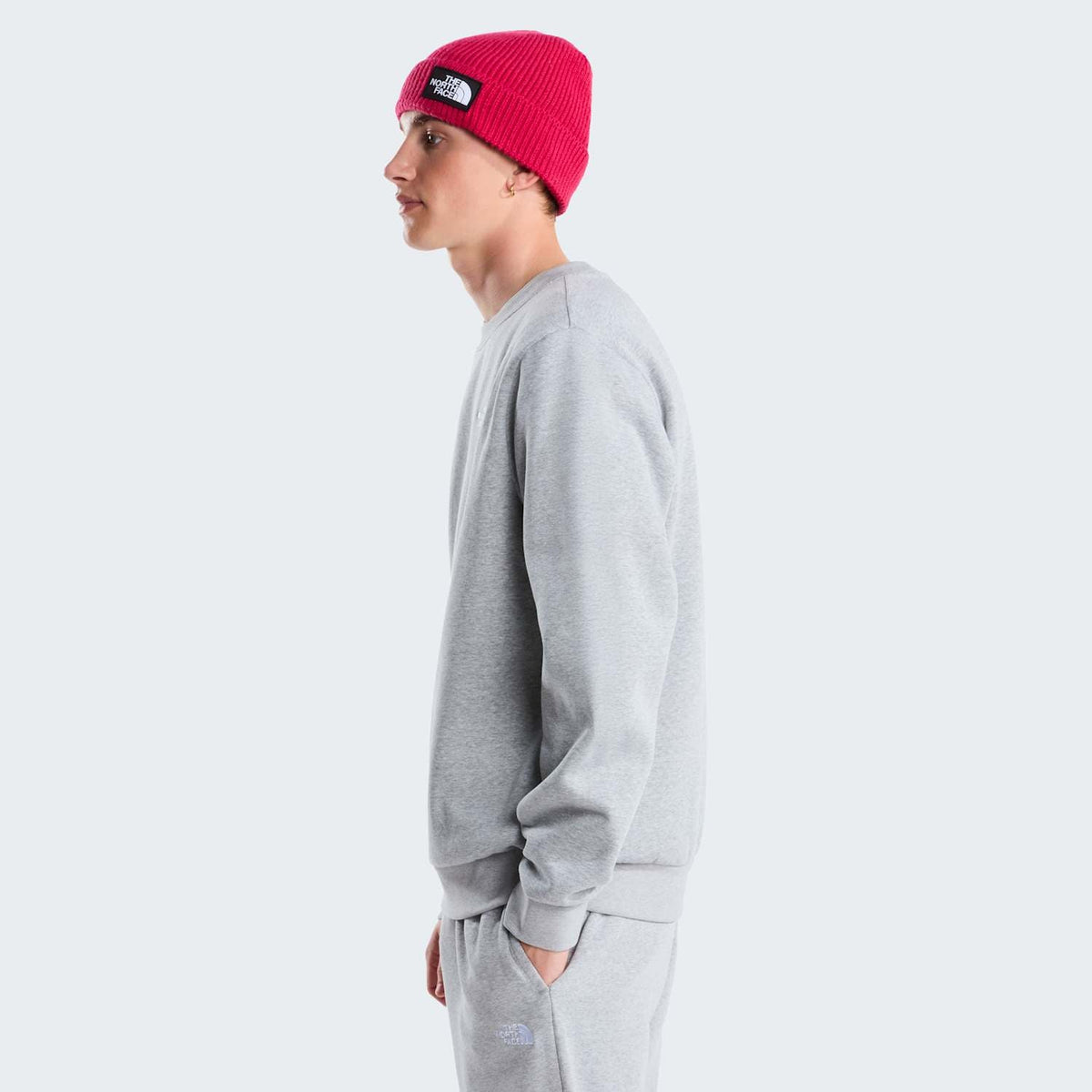 Sweat coupe regular Evolution Simple Dome pour homme - TNF Pale Grey Heather