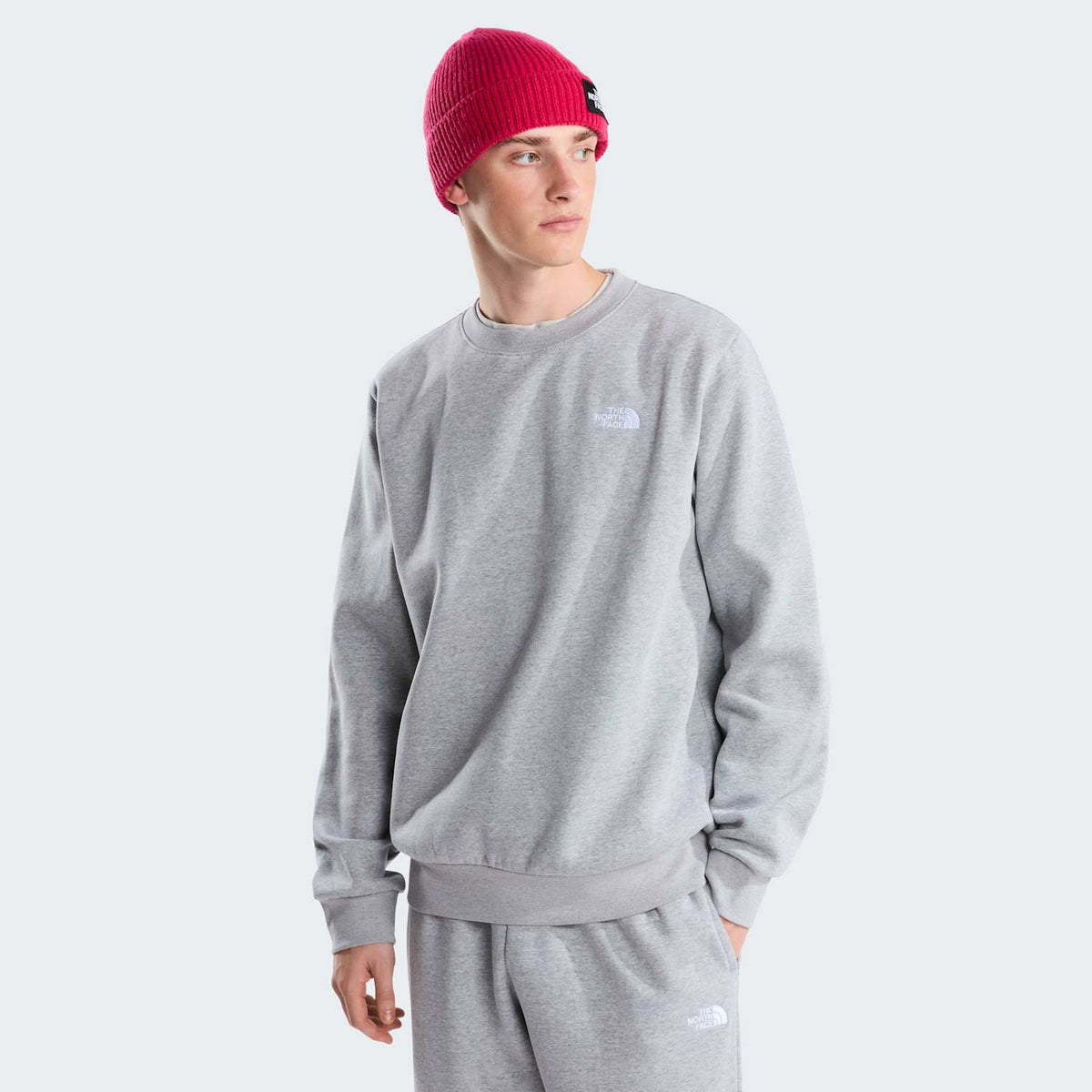 Sweat coupe regular Evolution Simple Dome pour homme - TNF Pale Grey Heather