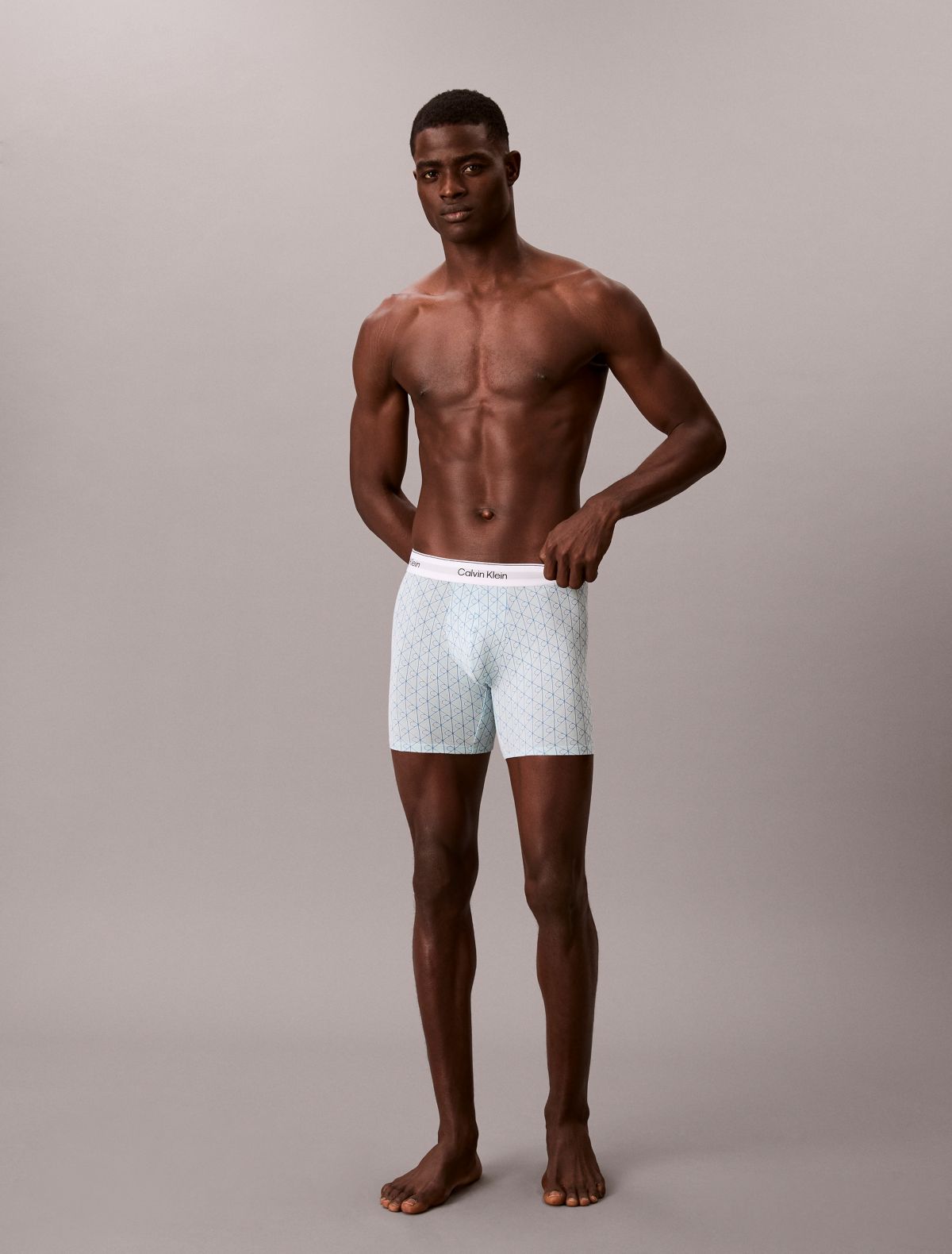 Icon Cotton Stretch 3-Pack Boxer Brief - Cendre Blue Multi
