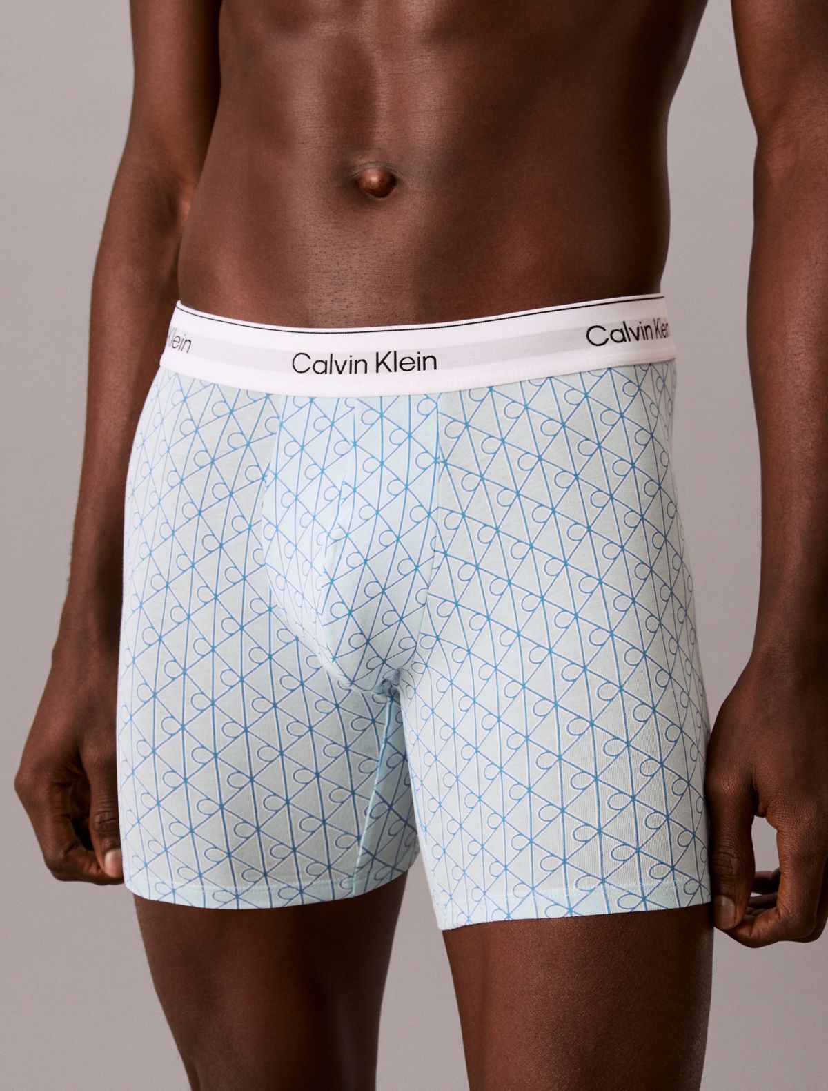 Icon Cotton Stretch 3-Pack Boxer Brief - Cendre Blue Multi