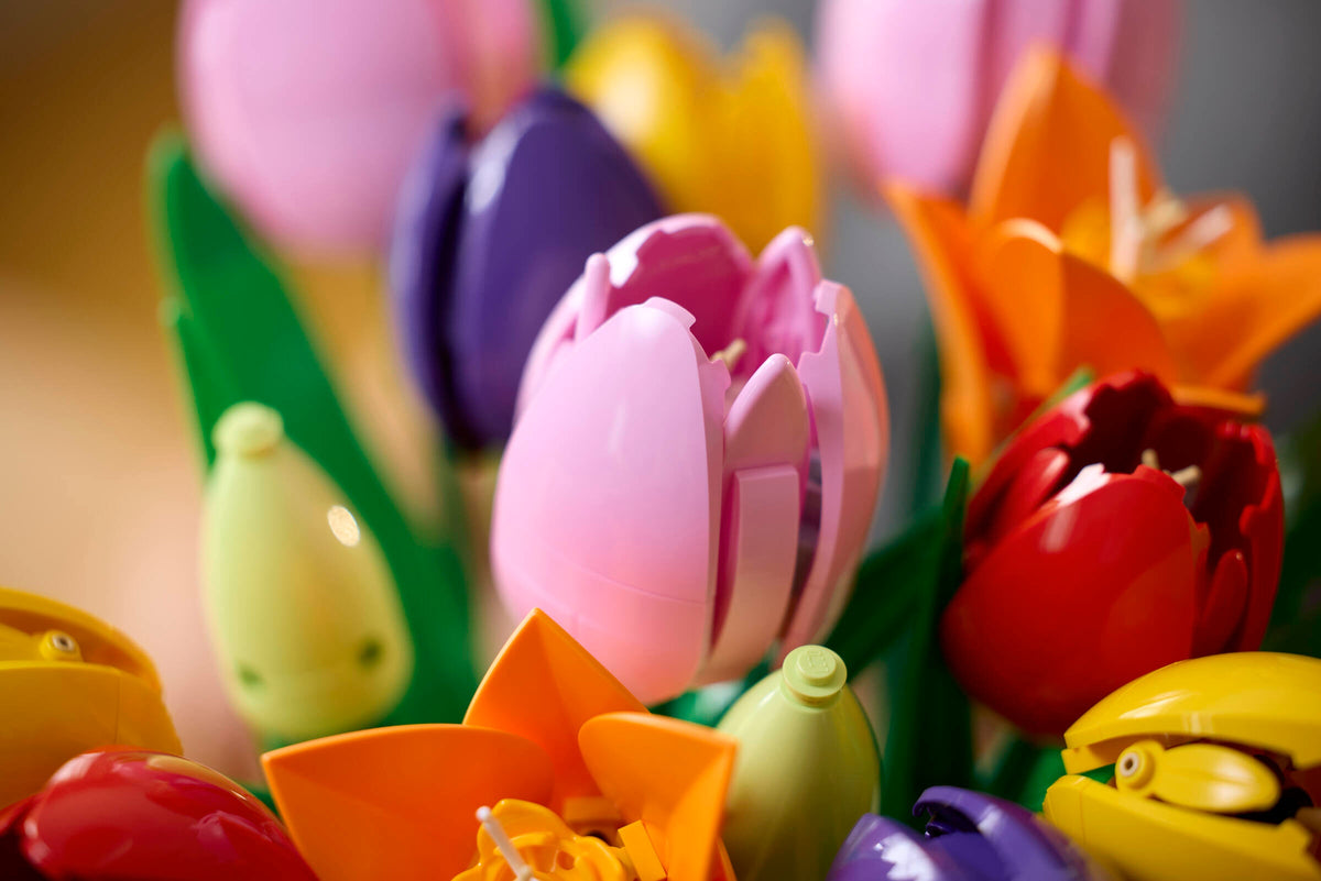 Le bouquet de tulipes