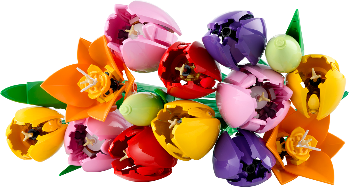Le bouquet de tulipes