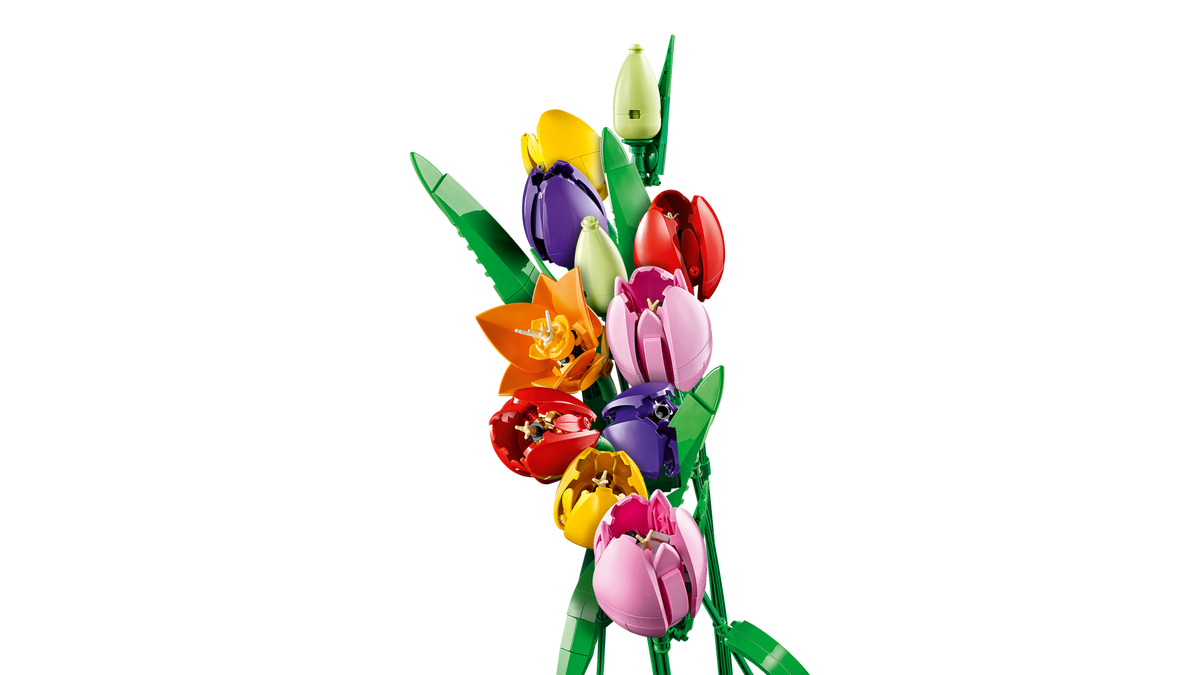 Le bouquet de tulipes