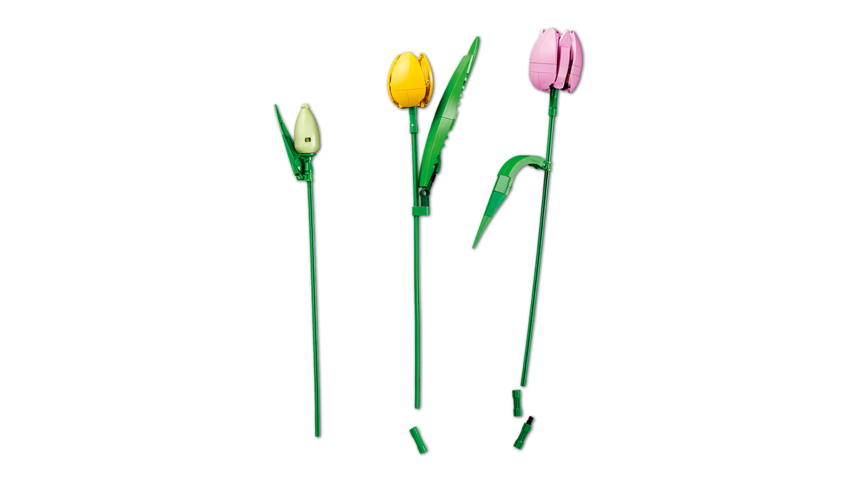 Le bouquet de tulipes